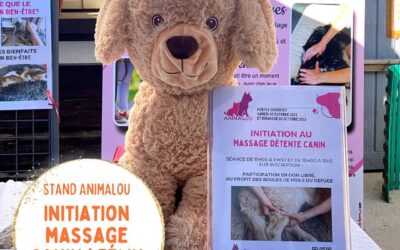Portes ouvertes à la SPA de Montpellier des                             07 et 08 octobre 2023 et 09 et 10 décembre 2023    Initiations au massage de détente canin et félin