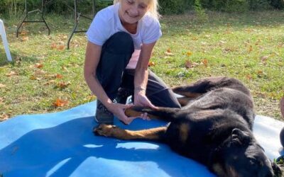 CODE DE DEONTOLOGIE DES PRATICIENNES EN MASSAGE BIEN ETRE CANINS