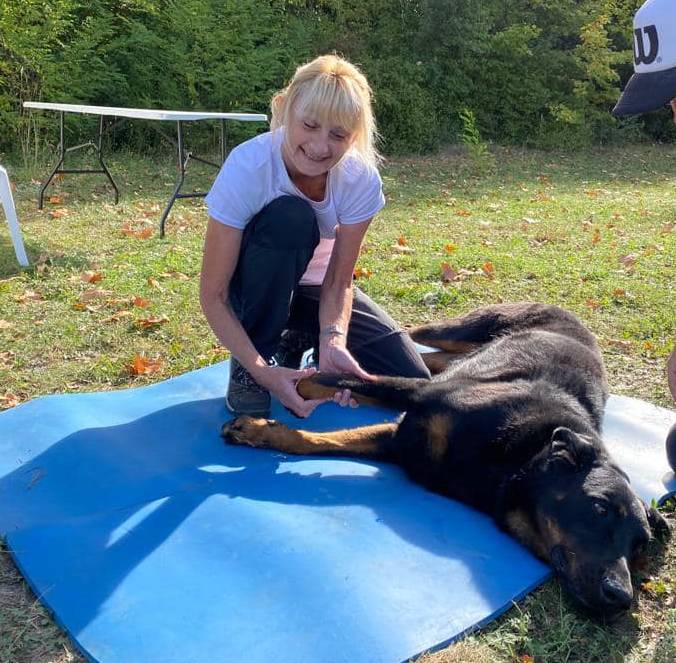 CODE DE DEONTOLOGIE DES PRATICIENNES EN MASSAGE BIEN ETRE CANINS