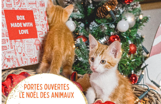 PORTES OUVERTES pour le Noël des animaux à la SPA DE MONTPELLIER, les 07 et 08 decembre 2024